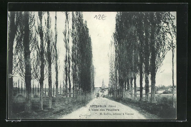CPA Estrablin, L´Allee des Peupliers