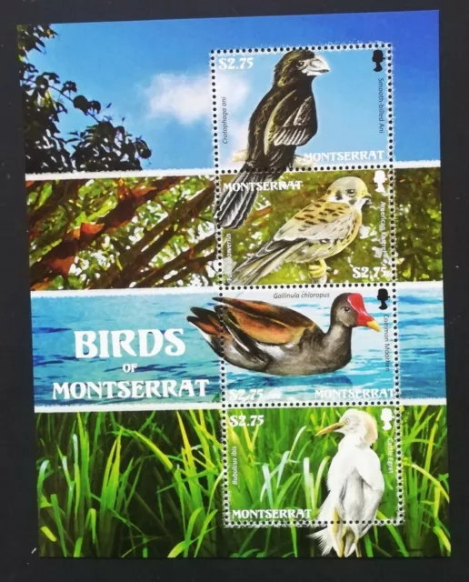 MONTSERAT IS-BIRDS,DUCK-1 M/Sh, MNH**, MOS 07