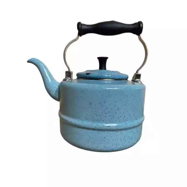 https://www.picclickimg.com/hkkAAOSwf~9lHBl1/Paula-Deen-Signature-Blue-Speckled-Porcelain-Enamel-Tea.webp