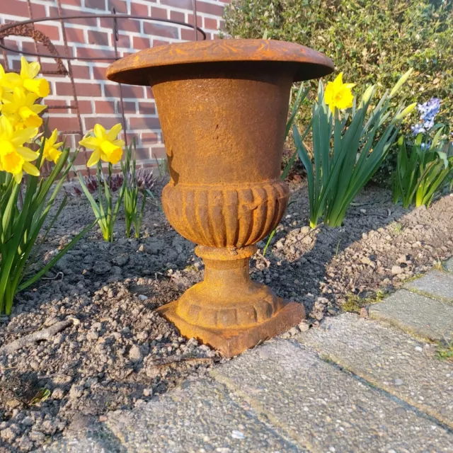 Amphore ,Blumentopf, Pflanzkübel, Topf, Vase, Blumenvase, Garten, Antik Deko !