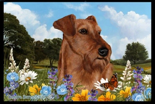 Summer Floor Mat - Irish Terrier 39220