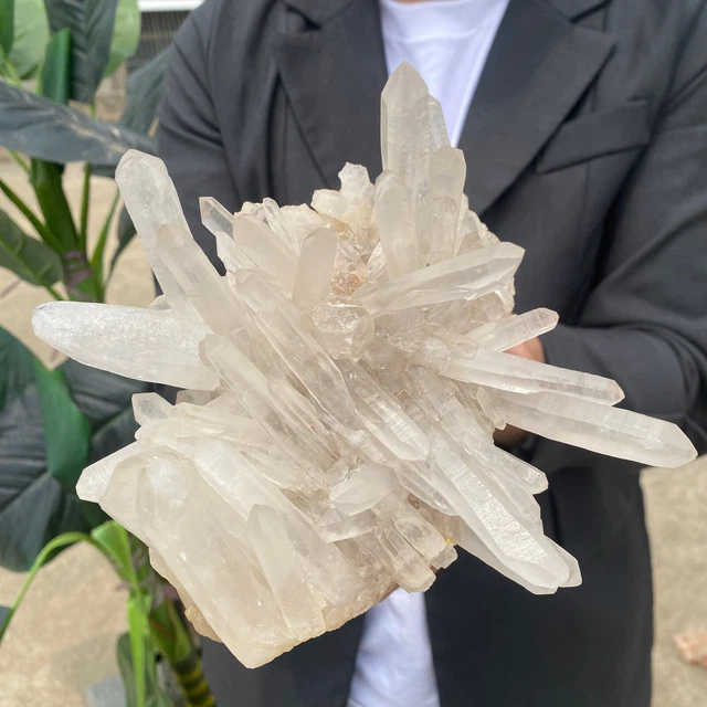 3.1lb Large Natural Clear White Quartz Crystal Cluster Rough Healing Specimen 5