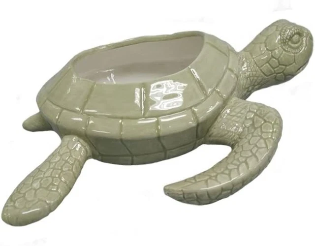 Comfy Hour Ocean Voyage Collection 9" Sea Turtle Succulent Planter, Palegreen