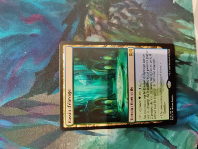 Breeding Pool / Bassin d'élevage Ravnica Allegiance / MINT / Rare / French MTG