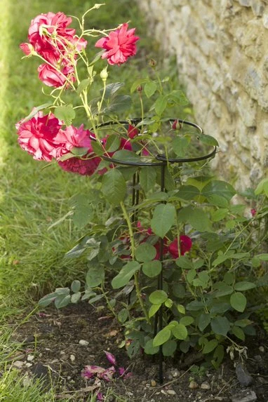 Pflanzenstützen 2er Set Blumenstütze Rankhilfe Strauchstütze Staudenstütze