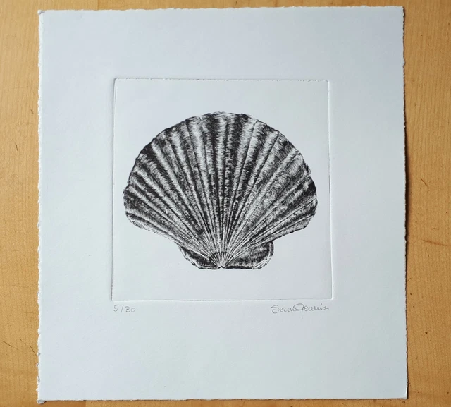 Incisione puntasecca conchiglia "LUNA"