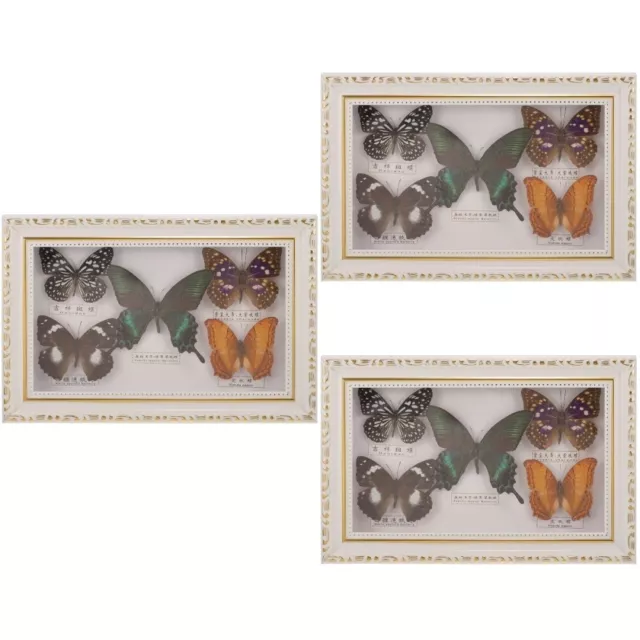 Decoraciones de caja de bebé colección enmarcada de especímenes de mariposa de 3 unidades