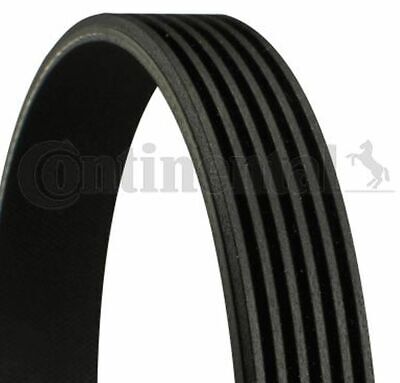 CONTINENTAL CTAM 6pk1015 zeppa NERVATURE CINGHIA CINGHIE TRAPEZOIDALI 
