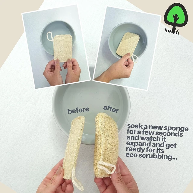 ECOME CELLULOSE KITCHEN Washing Up Natural Loofah Sponge Scourer | eco ...