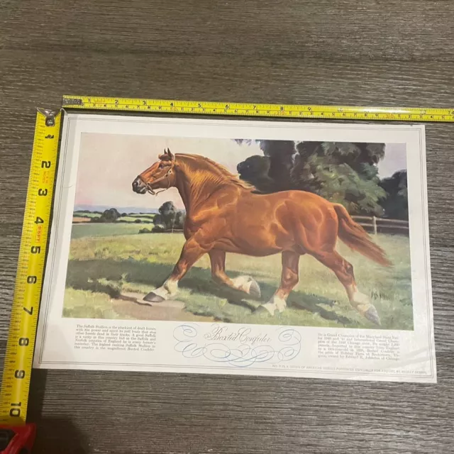 VTG Horse Illustration Limited Edition Print Boxted Confider No. 9 Wesley Dennis