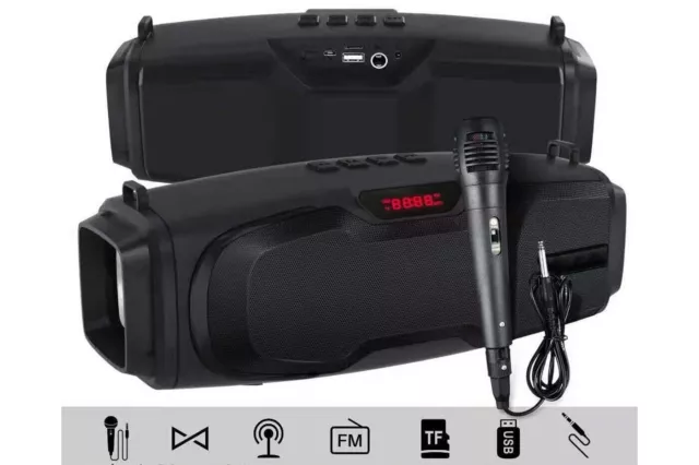 Karaoke Cassa Portatile Bluetooth Con Microfono Ampificata Usb Micro Sd Mp3 Fm