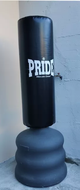 Sacco da boxe da terra Pride