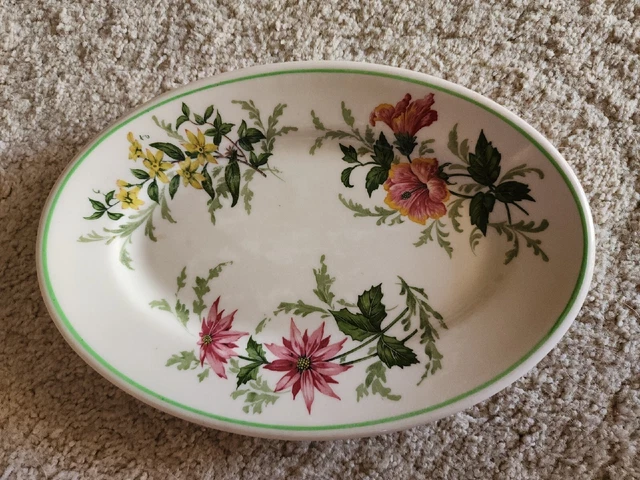 Atlantic Coast Line RAILROAD CHINA Dining Car 9 1/2 in PLATE Flora of the South