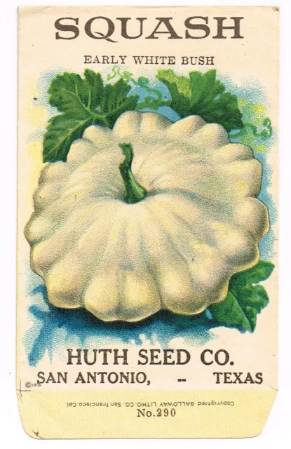 Vintage Seed Packet Vegetable 1918 Huth San Antonio Texas Rare Early Squash