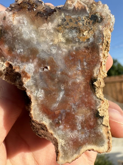Mojave Desert Plume Agate, Face Cut, Rough, Natural, Gemstone