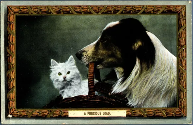 Postcard kitten cat in basket being carried by spaniel dog antique c1910 #3