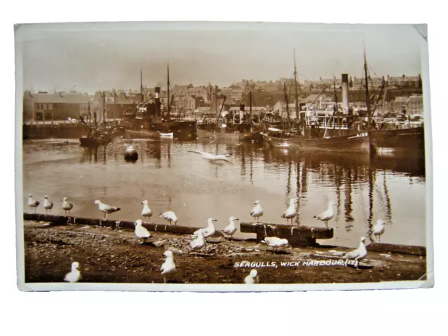 Postcard. Seagulls, WICK Harbour. Caithness. R.P. Used. Wick postmark. G+.