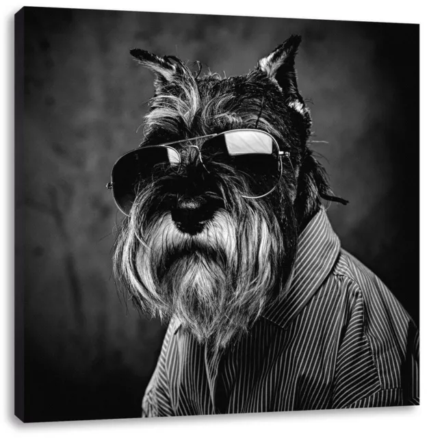 Drôle Chien Avec Chemise Et Lunettes de Soleil, Monochrome, Image de Toile Carré