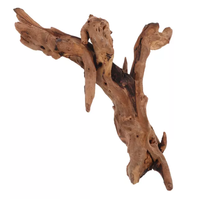 Aquarium Sunken Wood Reptile Climbing Decor Fish Decorations for Tank Crafts