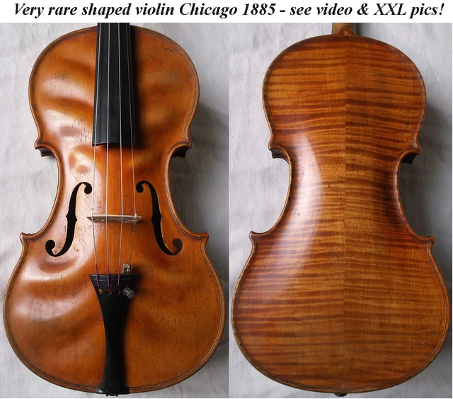 FINE OLD AMERICAN MASTER VIOLIN CHICAGO 1885 video ANTIQUE バイオリン