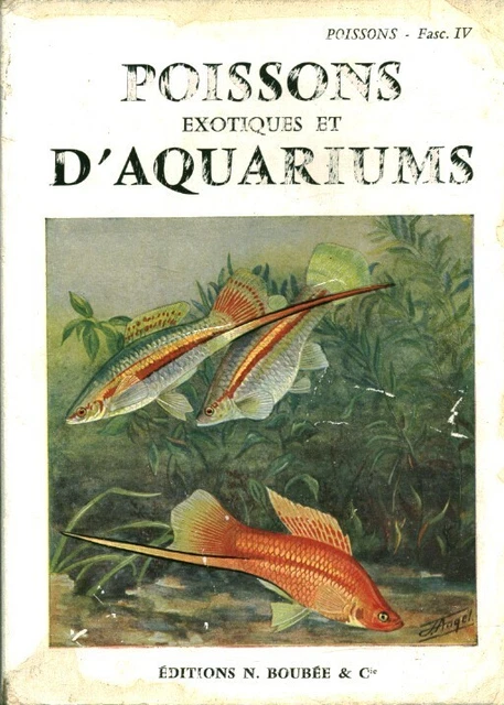 15 poissons exotiques d'aquarium à posséder dès maintenant