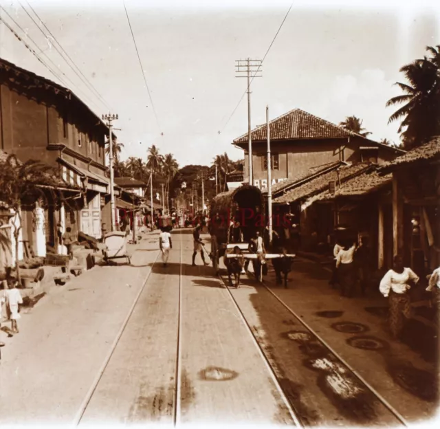 Sri Lanka Ceylon Colombo Eine Straße c1910 Foto Platte De Verre Stereo Vintage
