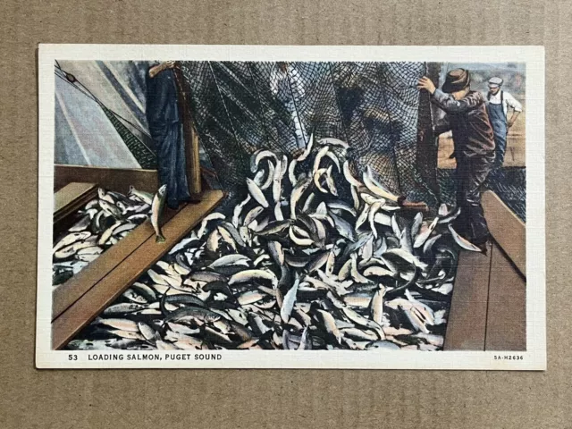 Postcard Puget Sound Washington WA Loading Salmon Fishing Net Catch Vintage PC