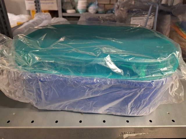 TUPPERWARE GROSSER Laibw chter Brotbeh lter Blau Gr n Neu EUR 24 90 tupperware-grosser-laibw-chter-brotbeh-lter-blau-gr-n-neu-eur-24-90