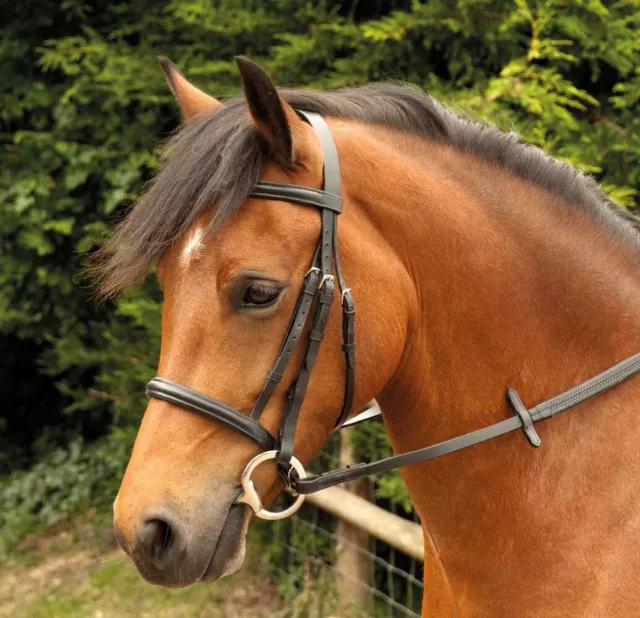 New Windsor Cavesson Bridle Complete With Rubber Reins Brown Shet Pony Cob Full.