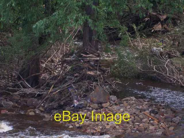 Photo 6x4 Debris caught amongst trees at Oughtibridge following floods in c2007