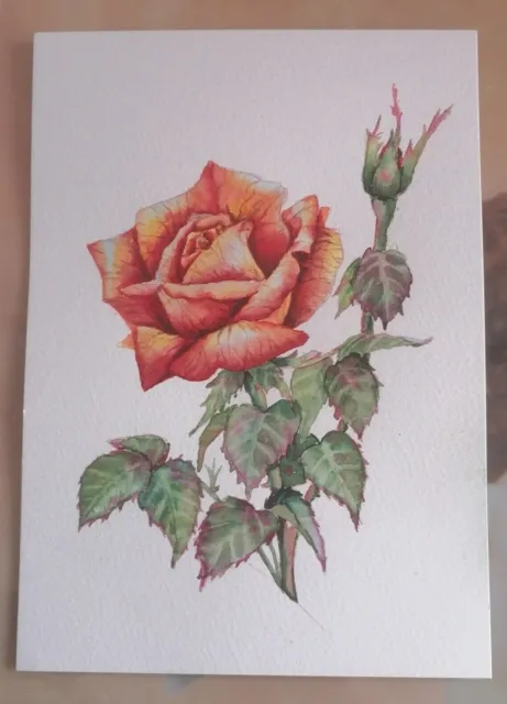 Original Aquarell "Orange Rose", A5 cm, Blumen, Sommer