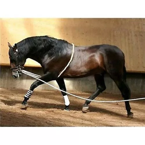 Lunging rein aid, soft - by Harry's Horse - 2