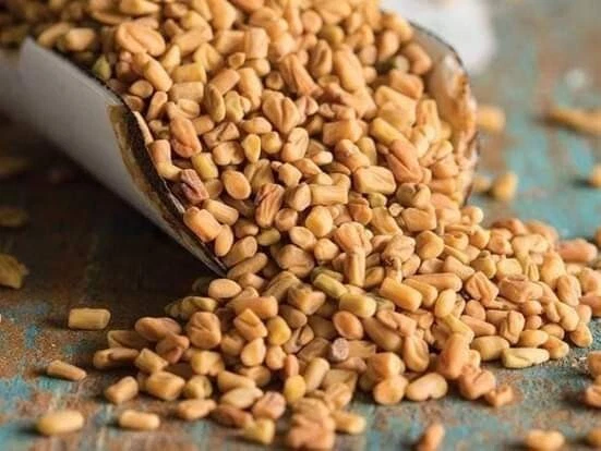 Semillas de fenogreco orgánico natural 100% puro trigonella foenum graecum methi.
