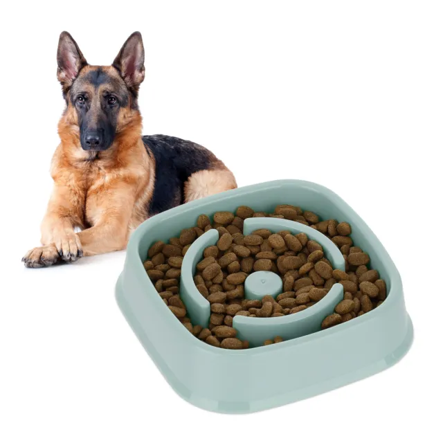 Ciotola anti-ingozzamento cani mangiatoia assunzione lenta cibo umido 800 ml