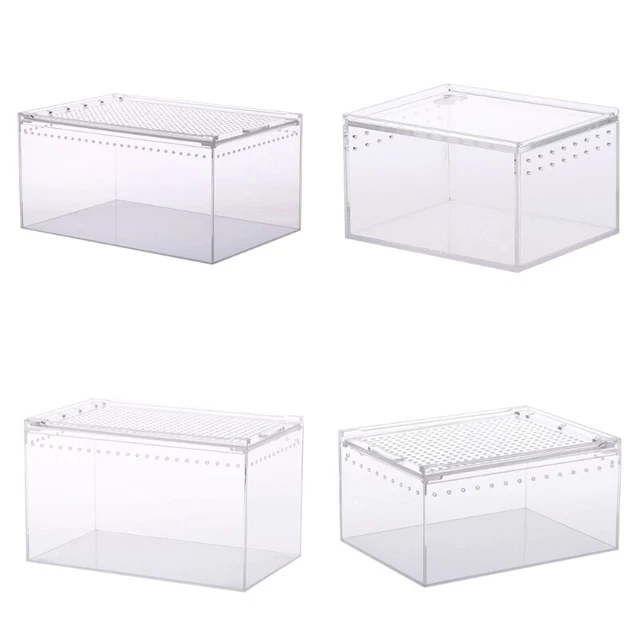 Acrylic Feeding Box for Reptile Crawling Reptile Feeding Clear Designed