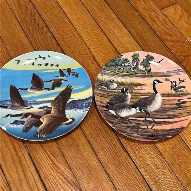 2 vintage collectors plates by Donald pentz - winter home / southward bound