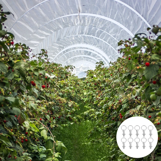 10 Pcs Knaufkolben Für Gewächshäuser Federbelasteter Riegel