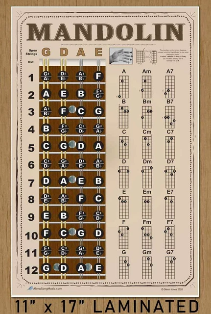 LAMINATED MANDOLIN EASY Chords Fretboard Wall Chart Poster Beginner ...