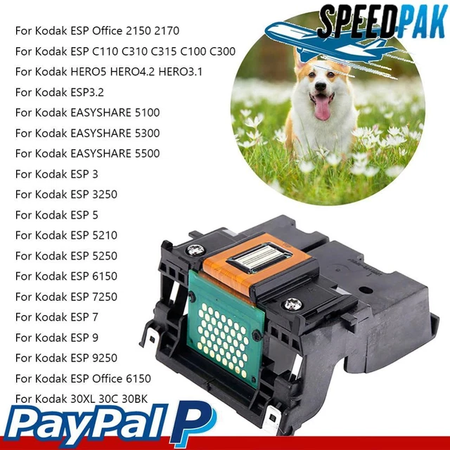 Full Colors Printer Heads Replacement Parts Printer Print Head for ESP C110 C310
