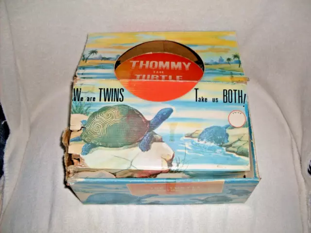 Rare Vintage 12 Lot Store Display Box Thommy The Turtle Hong Kong Rubber Toys!