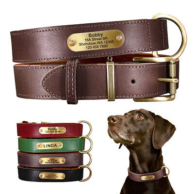 Soft Genuine Leather Dog Collar Custom Nameplate Heavy Duty Free Engraved XS-XL