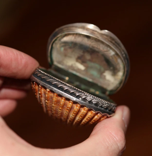 Shell Snuff Box England ANTIQUE SILVER SHELL snuff box with mirror, engraved initials ER, 19th ...