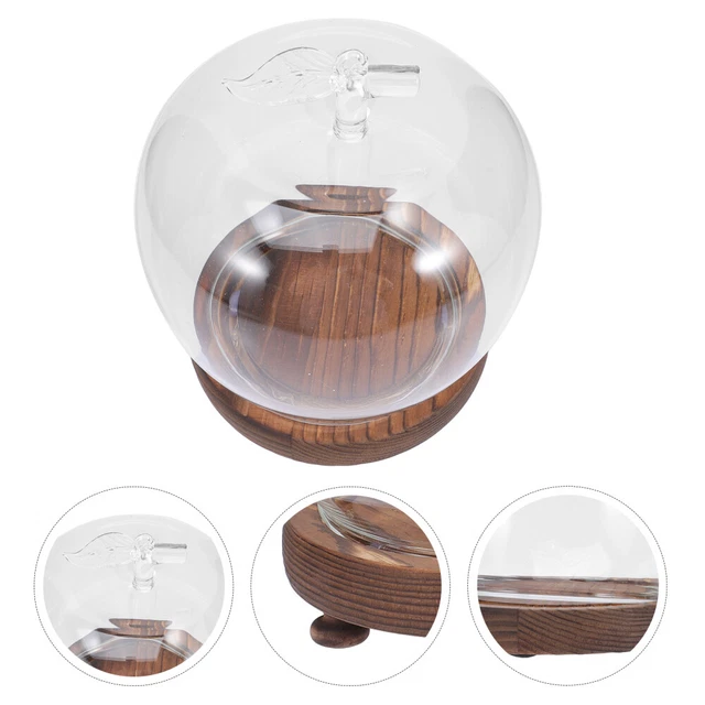 Cupola Di Vetro Borosilicato Con Base In Legno – Campana Per Esposizione, Diametro 15 Cm, Altezza 21/25/27 Cm A Scelta
