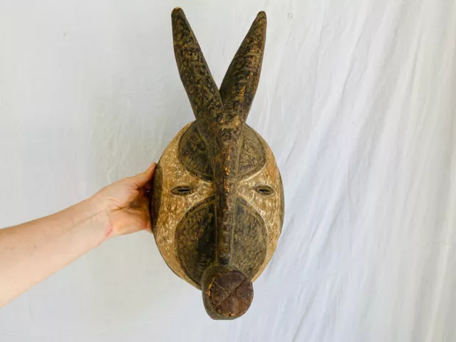 Kwele Mask. Gabon Africa . African Mask. 19th Century