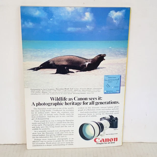 VINTAGE AUGUST 1982 National Geographic Magazine Papua New Guinea Tuna