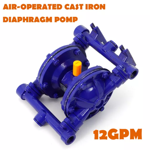 12GPM Double Diaphragm Air-operated Diaphragm Pump 1/2 Inch Inlet&Outlet 115 psi