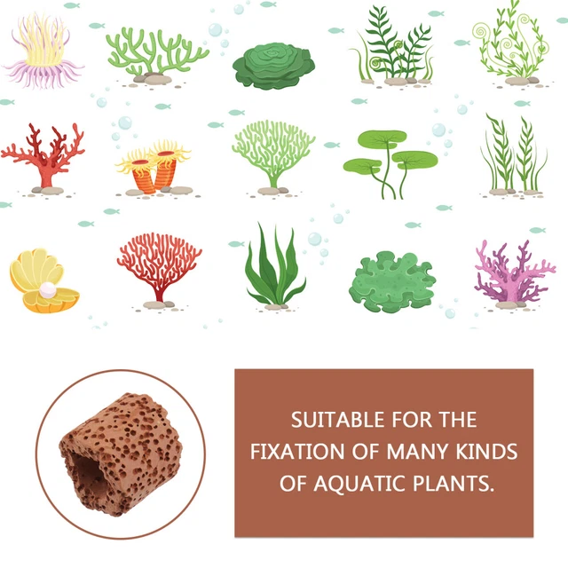 Kit Attrezzi Acquario 7 Pezzi Cayway - Forbici, Pinzette E Pala In Acciaio Inossidabile Per Piante E Pulizia - Foto 6