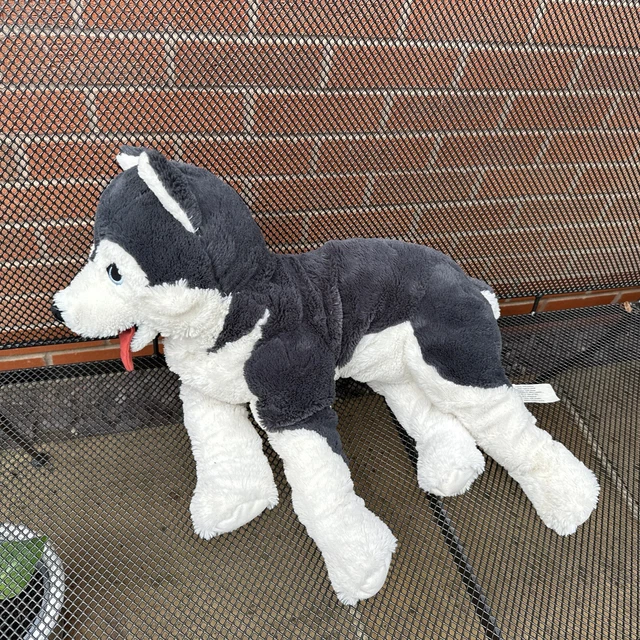Stuffed Animal LIVLIG Peluche, Cane/husky Siberiano, 26 Cm