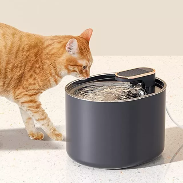 Fontanella per Gatti 3L,Dispenser Acqua Gatti,Fontana per Gatti, Fontanella per