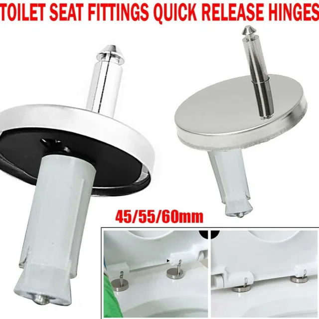 Toilet Seat Hinge Replacement Sliver Old Toilet Quick Release Standard